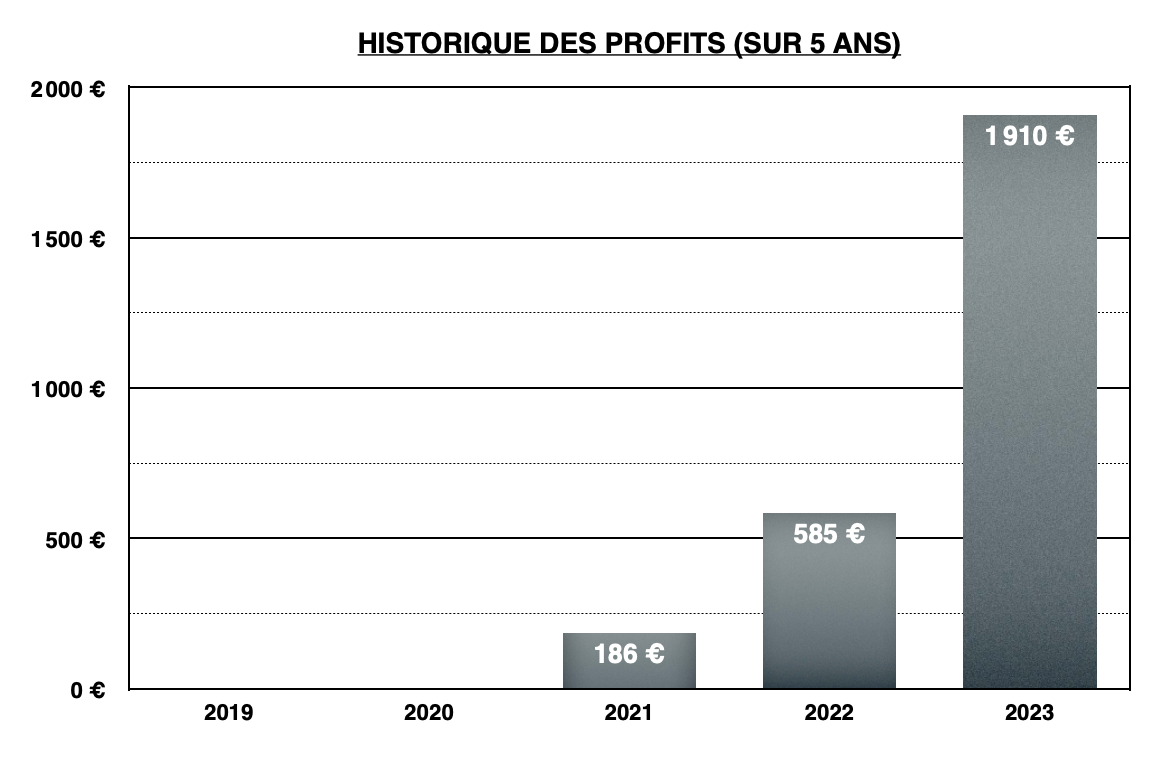 Historique de mes gains - investissements en crowdlending